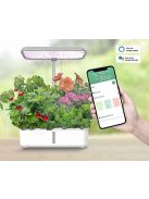 Tuya WiFi Plant Hydroponics System Growing LED Light Soilless Smart Planting Machine Self Watering Indoor Home Gardening Planter