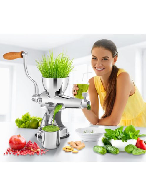 Manual Wheatgrass Juicer Stainless Steel W/ Suction Cup Base Table-Top Clamp Extractor for Ginger Celery Home Kitchen Use