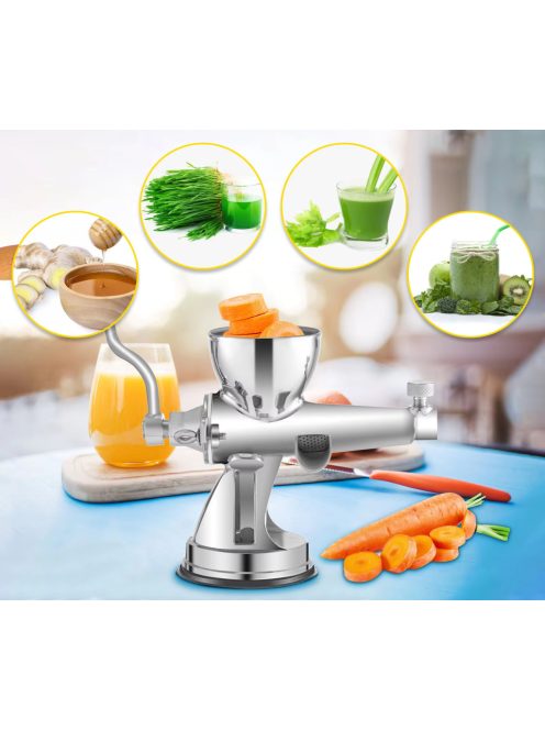 Manual Wheatgrass Juicer Stainless Steel W/ Suction Cup Base Table-Top Clamp Extractor for Ginger Celery Home Kitchen Use